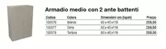 Armadio Medio Con 2 Ante Battenti 
