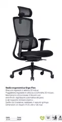 Sedia Ergonomica Ergo Flex 