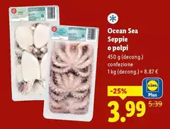 Ocean Sea - Seppie O Polpi