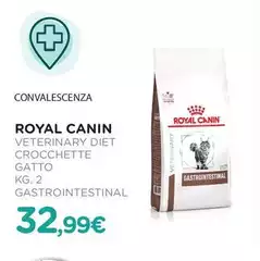 Royal Canin - Veterinary Diet Crocchette Gatto Gastrointestinal