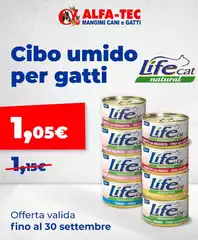 Life -  Cat