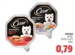 Cesar - Pate Vari Gusti
