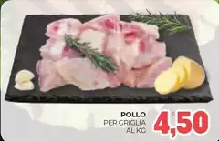 Pollo
