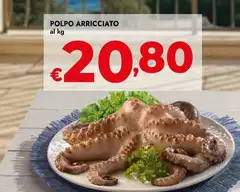 Polpo Arricciato