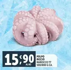 Polpo Riccio