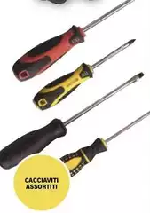 Cacciaviti 