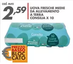 Consilia - Uova Fresche Medie Da Allevamento A Terra