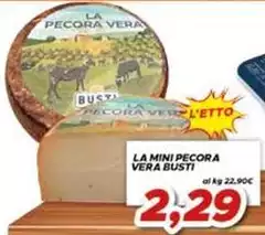 Vera - La Mini Pecora  Busti