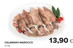 Calamaro Marocco