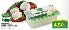 Mozzarella Selezione Qualità