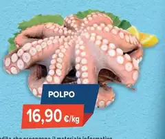 Polpo