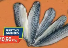 Filetto Di Sgombro