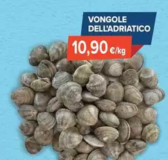 Vongole Dell'Adriatico Con Guscio