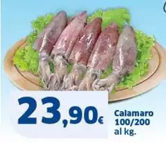 Calamaro