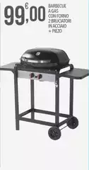 Barbecue A Gas Con Forno 2 Bruciatori In Acciaio