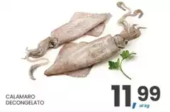 Calamaro Decongelato