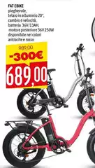Fat Bike