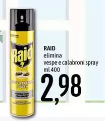 Raid - Elimina Vespe E Calabroni Spray