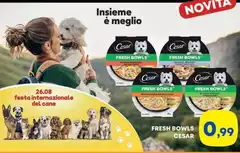 Cesar - Insieme É Meglio