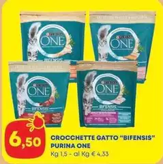 Purina - Crocchette Gatto "bifensis" One