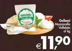 Galbani - Mozzarella Vallelata