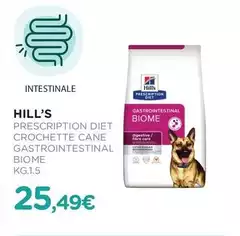 Hill'S - Veterinary Diet Crocchette Cane On Care