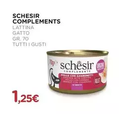 Schesir - Complements Gatto