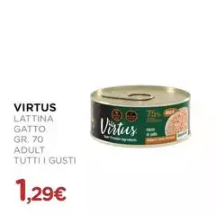 Virtus - Gatto Adult 