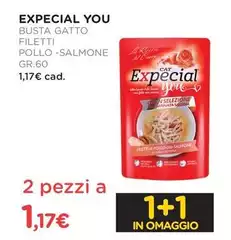 Busta Gatto Filetti Pollo-Salmone