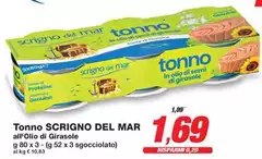 Semi - Tonno All'Olio Di Girasole