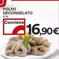Polpo Decongelato