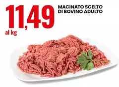 Macinato Scelto Di Bovino Adulto