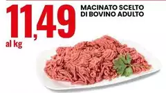 Macinato Scelto Di Bovino Adulto