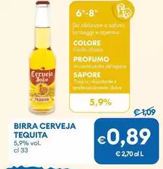 Joao - Birra Cerveja Tequita 
