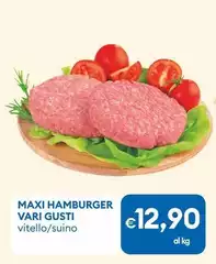 Maxi Hamburger Vari Gusti
