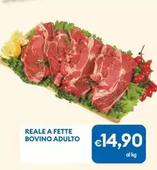 Reale A Fette Bovino Adulto