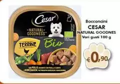 Cesar - Bocconcini Natural Goodnes