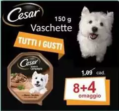 Cesar - Vaschette Tutti I Gusti