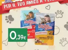 Morando - Miglior Gatto