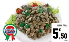 Lupini Italia