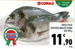 Conad - Orata Italia Percorso Qualità