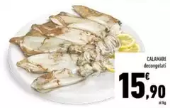 Calamari