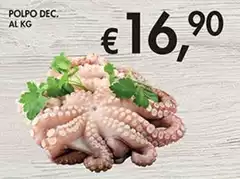 Polpo Dec