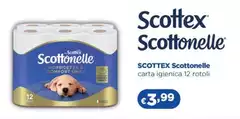 Scottex - Scottonelle Carta Igienica