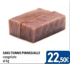 Saku Tonno Pinnegialle