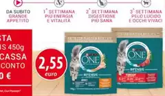Purina - Settimana