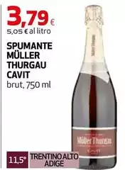 Cavit - Spumante Müller Thurgau