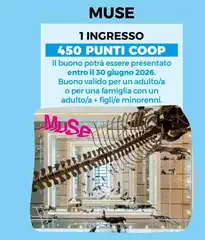 Coop - Buono
