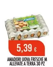 Amadori - Uova Fresche M Allevate A Terra