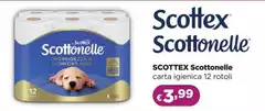 Scottex - Scottonelle Carta Igienica
